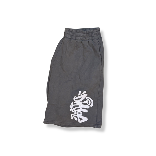 DialUp Graphic Shorts - L