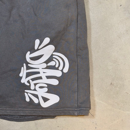 DialUp Graphic Shorts - L